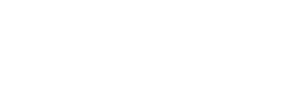 SE_logo